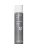 Perfect hair Day™ Heat Styling Spray