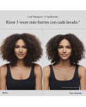 LIVING RPOOF MÉXICO |  Curl Shampoo