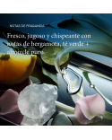 Living Proof México | Restore Shampoo