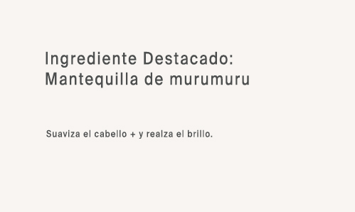 Ing 4