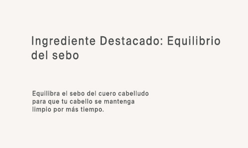 Ing 5
