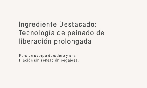 Ing 2