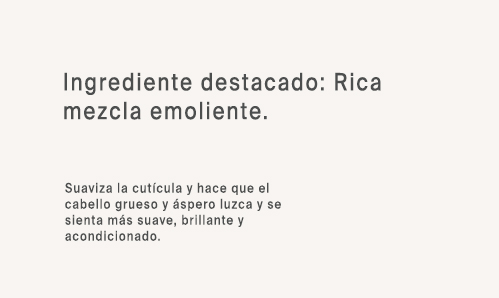 Ing 5