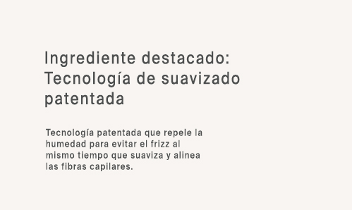 Ing 2