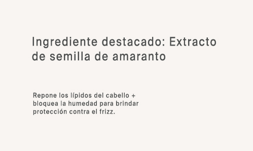 Ing 2
