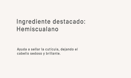 Ing 4