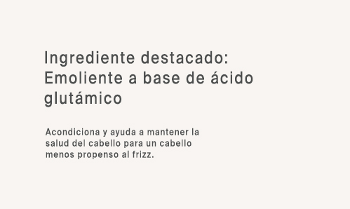 Ing 5