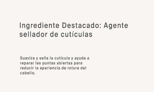Ing 4