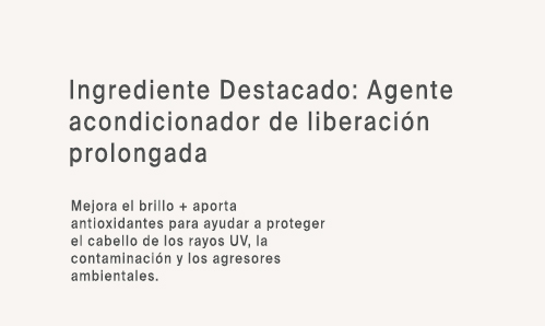 Ing 6