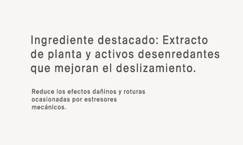 Ing 2
