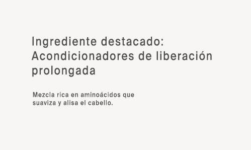 Ing 4
