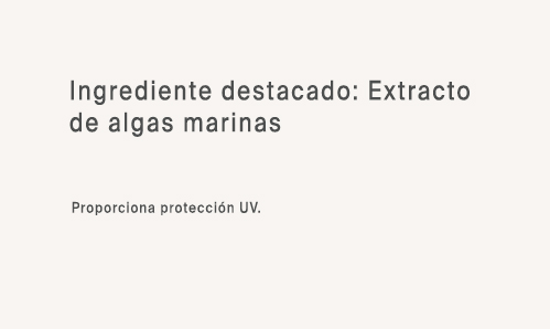 Ing 5