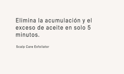 Ing 1