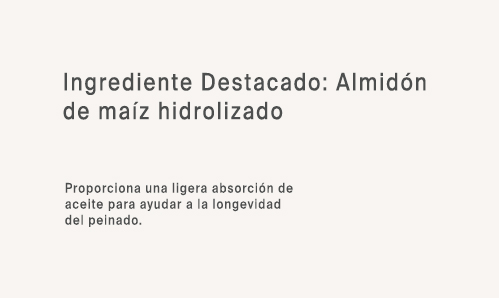 Ing 3