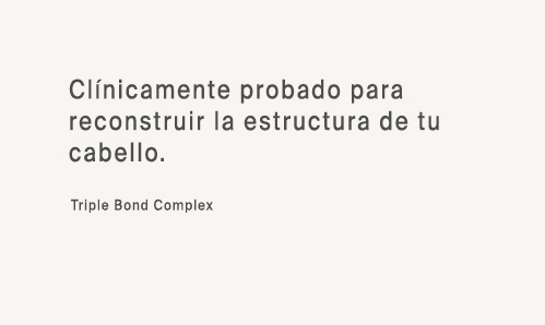Ing 1