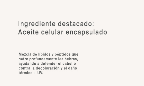 Ing 3
