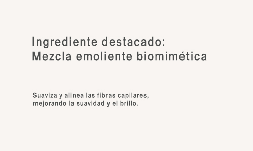 Ing 4