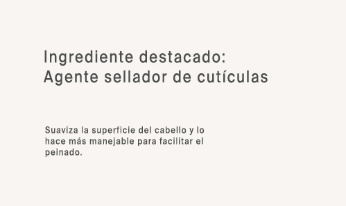 Ing 5